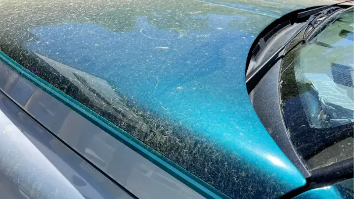 Pollen Thomasville car wash Thomasville